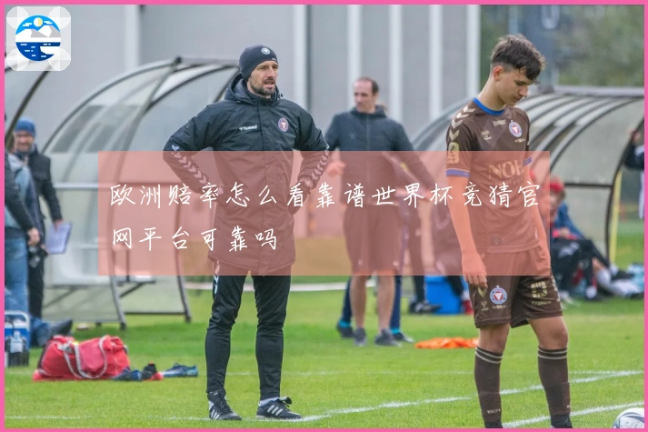 欧洲赔率怎么看靠谱世界杯竞猜官网平台可靠吗