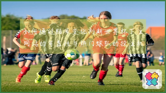 如何通过赔率变化判断世界杯下注网站的可靠性与热门球队的投注机会