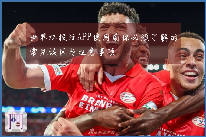 世界杯投注APP使用前你必须了解的常见误区与注意事项