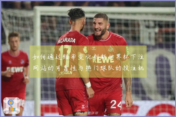 如何通过赔率变化判断世界杯下注网站的可靠性与热门球队的投注机会