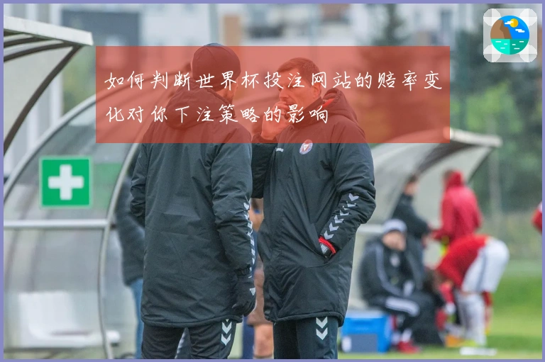 如何判断世界杯投注网站的赔率变化对你下注策略的影响