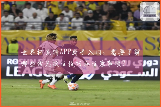 世界杯竞猜APP新手入门，需要了解哪些常见投注技巧和注意事项？